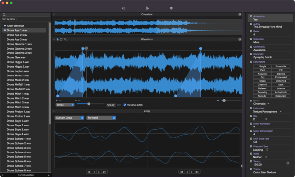 Zynaptiq LOOP EDITOR 2