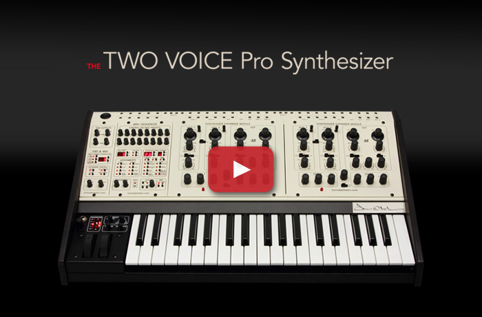 Two Voice Pro Synthesizerの詳細