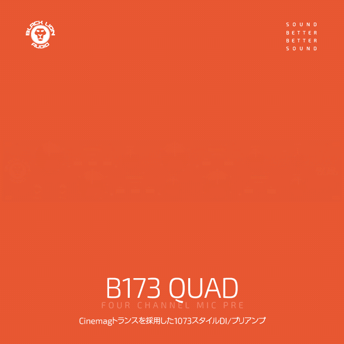 B173 QUADを購入