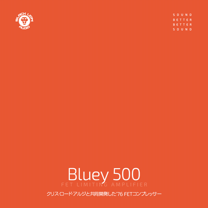 Bluey 500を購入